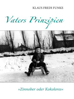 cover image of Vaters Prinzipien